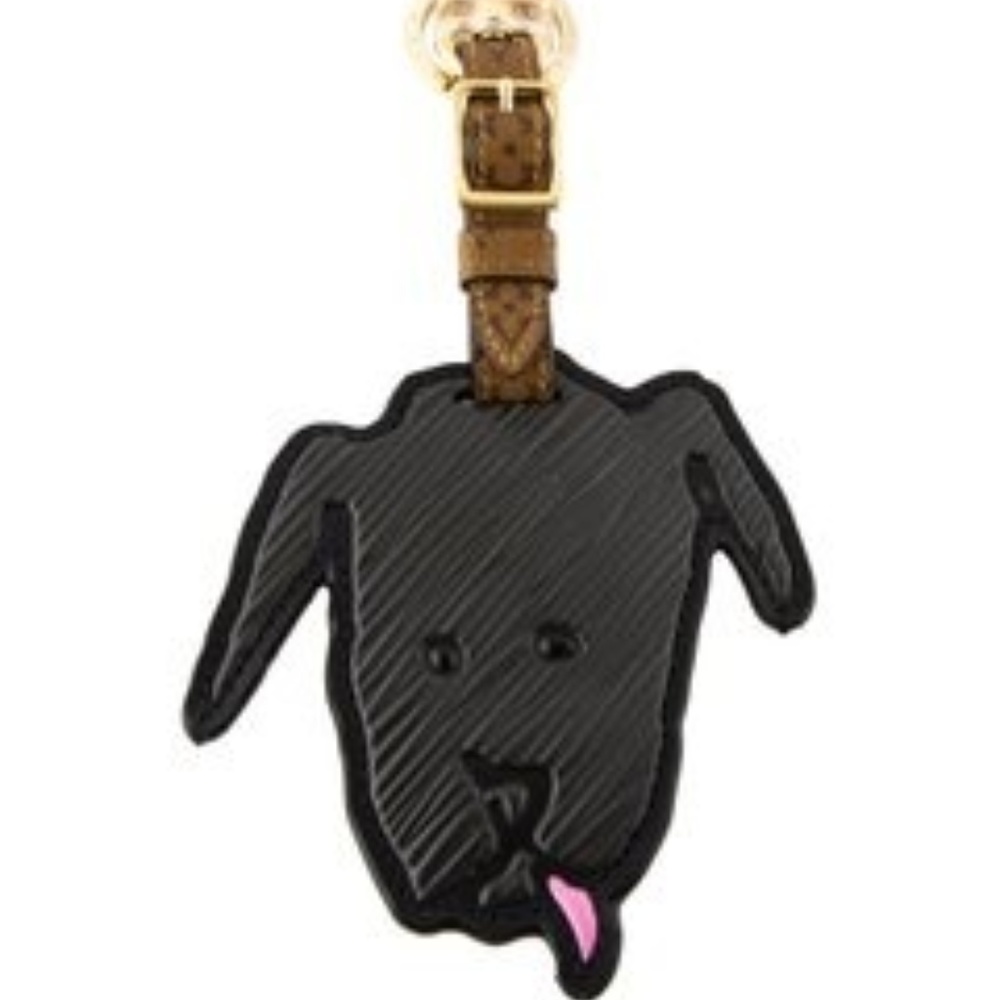 2019 LOUIS VUITTON CATOGRAM BAG CHARM & KEY HOLDER